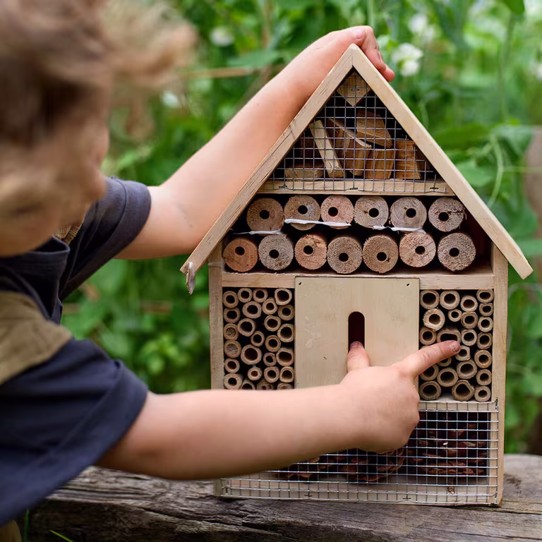 Bygg ditt eget insekthotell - på sju enkla steg