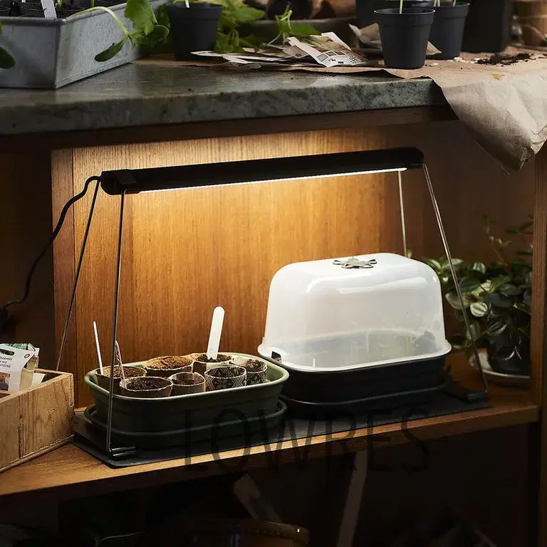 Så får du knepiga fröer att gro 