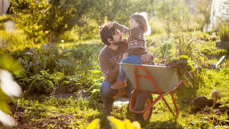 September - this you can sow and cultivate