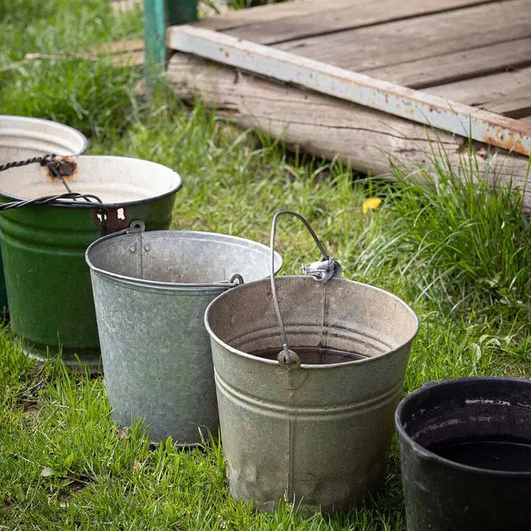 Watering ban – How to keep your plants alive