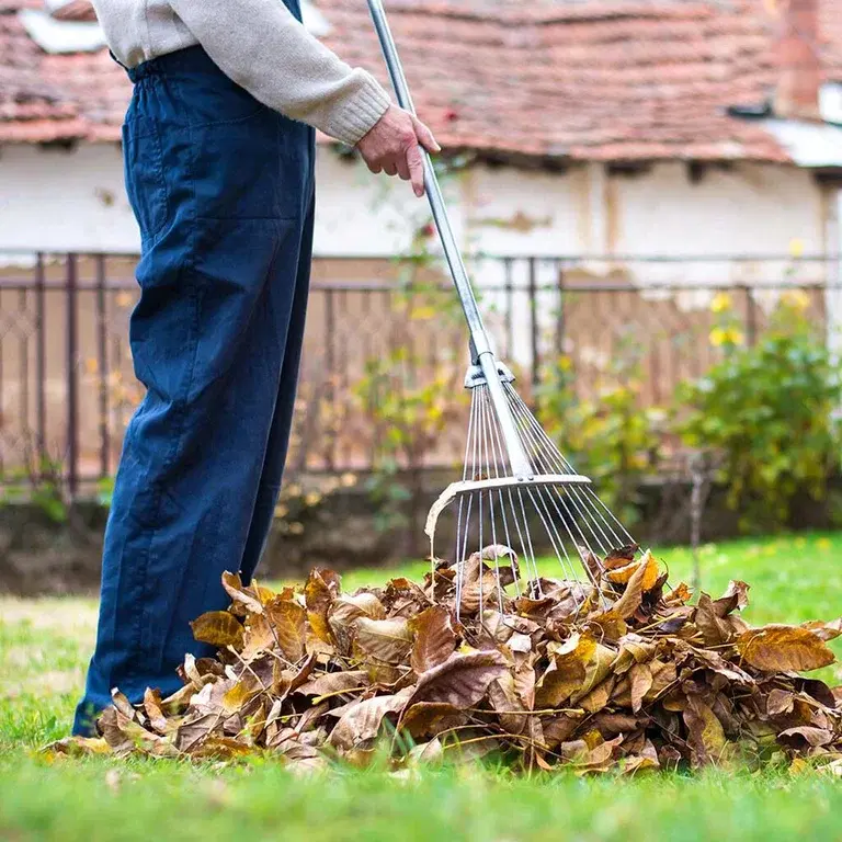 Seven ways to prepare your garden for winter