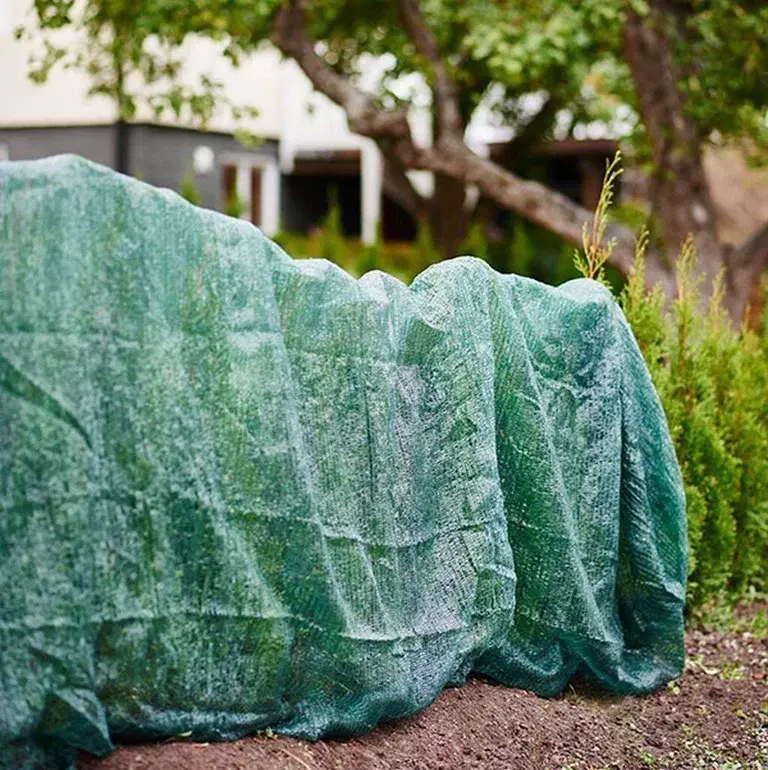 Winter covering of plants