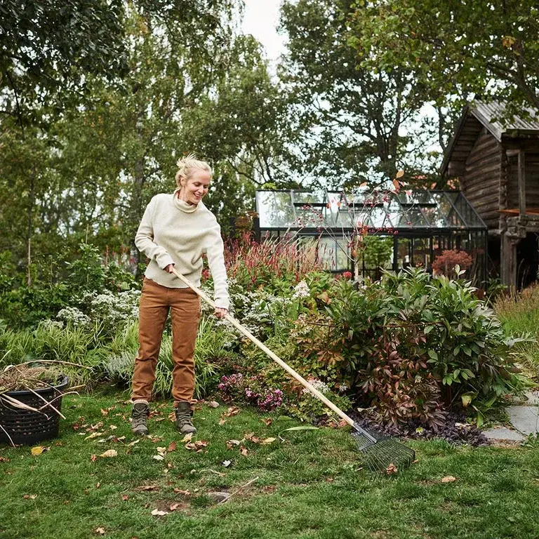 Garden calendar for autumn - what you can do in the garden now
