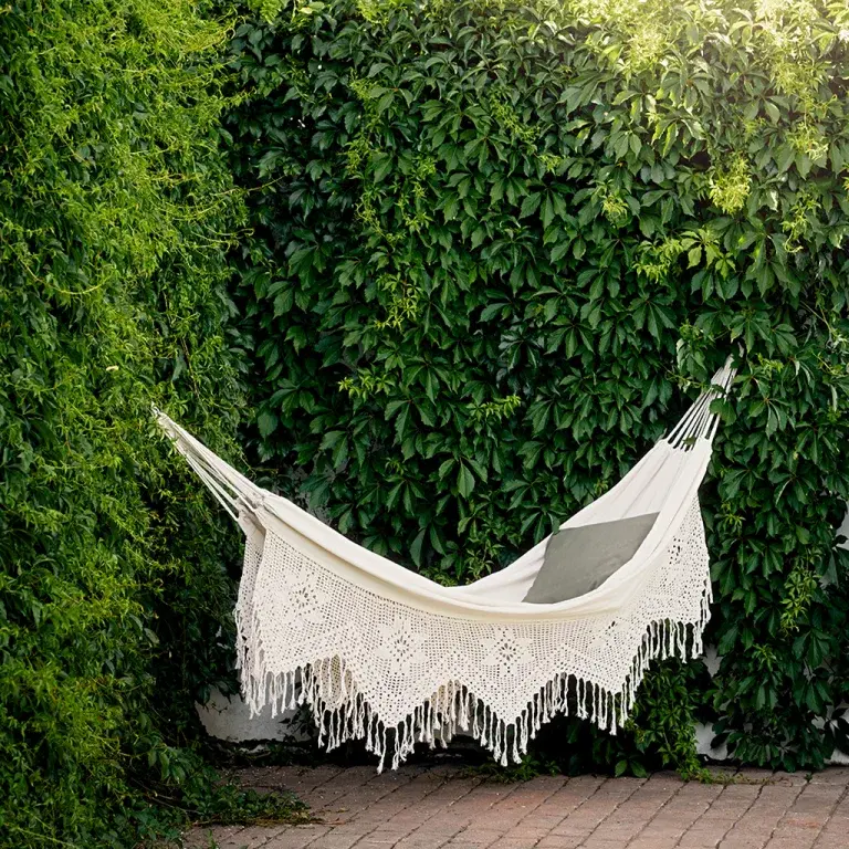 Välja häck - Olika sorter och vad de passar till 