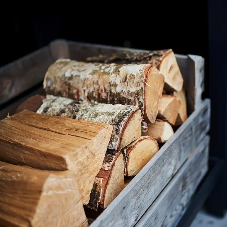Buying firewood – how to choose the right firewood for the winter
