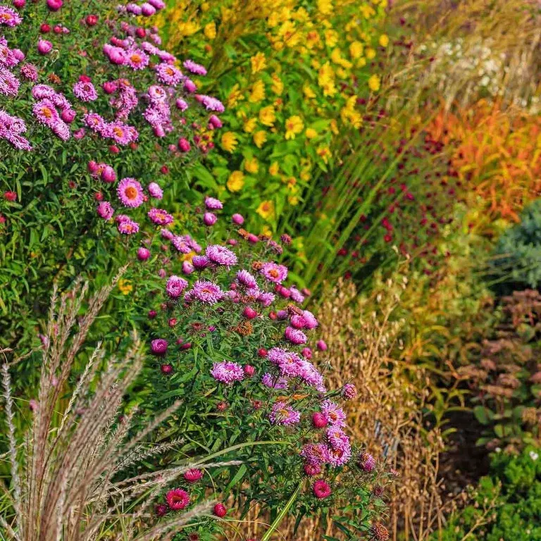 Förläng sommaren i trädgården 