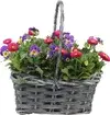 Blomstergrupper