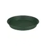 Fat Green basics