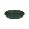 Fat Green Basics