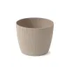 Kruka Lisse