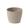 Kruka Lisse