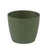 Kruka Lisse
