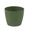 Kruka Lisse