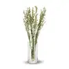 Torkade blommor