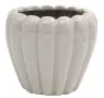 product variant
