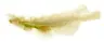Easter decor Feather 