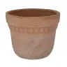 Kruka Verona
