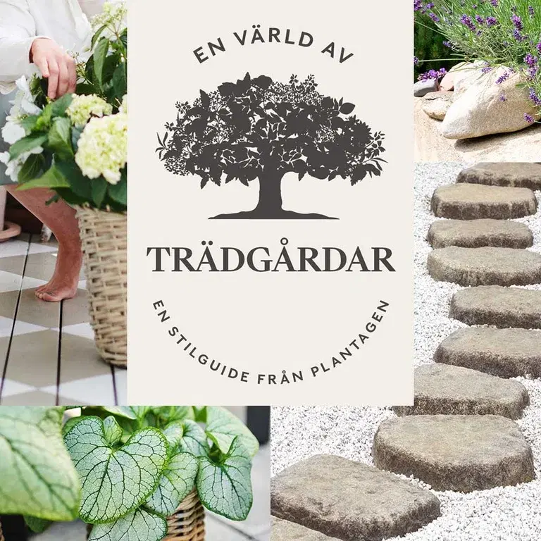 40% off the entire Strand collection