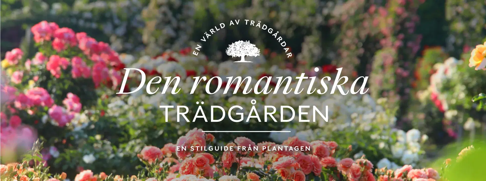 40% off all perennials in returnable pots