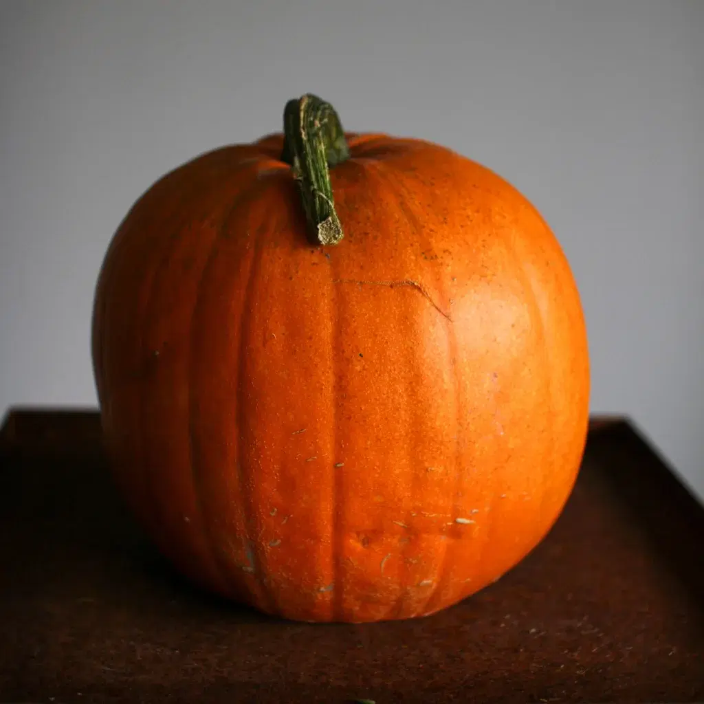 1. Välj pumpa