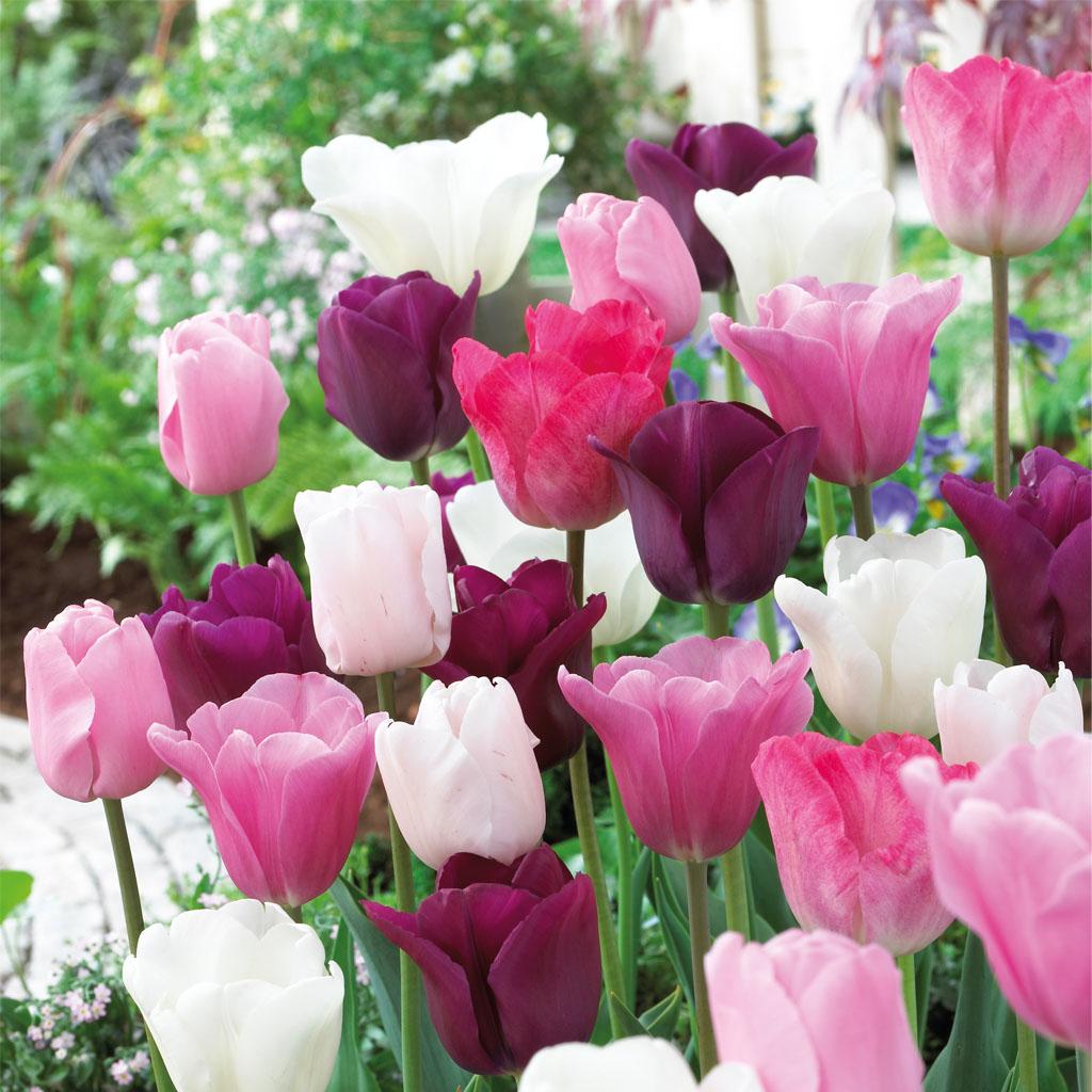 Garden care