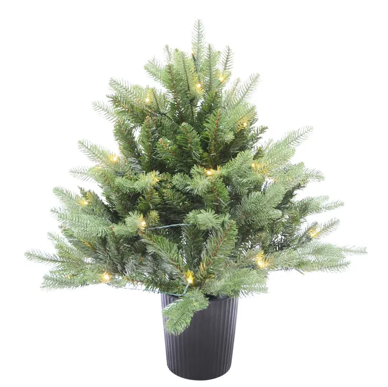 Julgran med Belysning