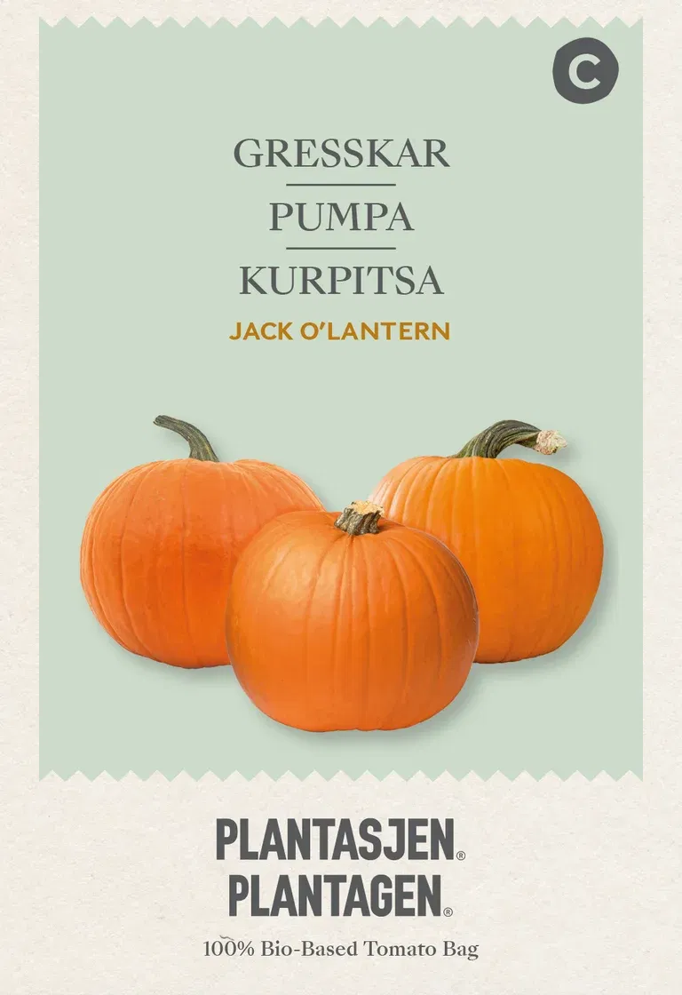 Pumpa 'Jack o'lantern'