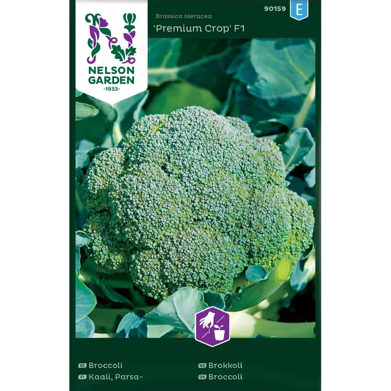 Broccoli 'Premium Crop' F1
