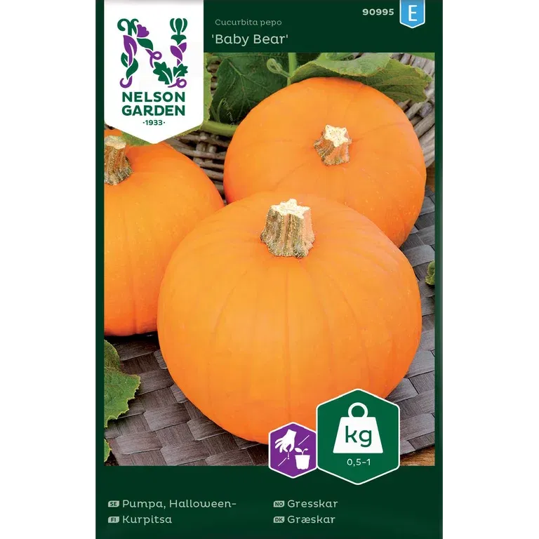 Halloweenpumpa 'Baby Bear'