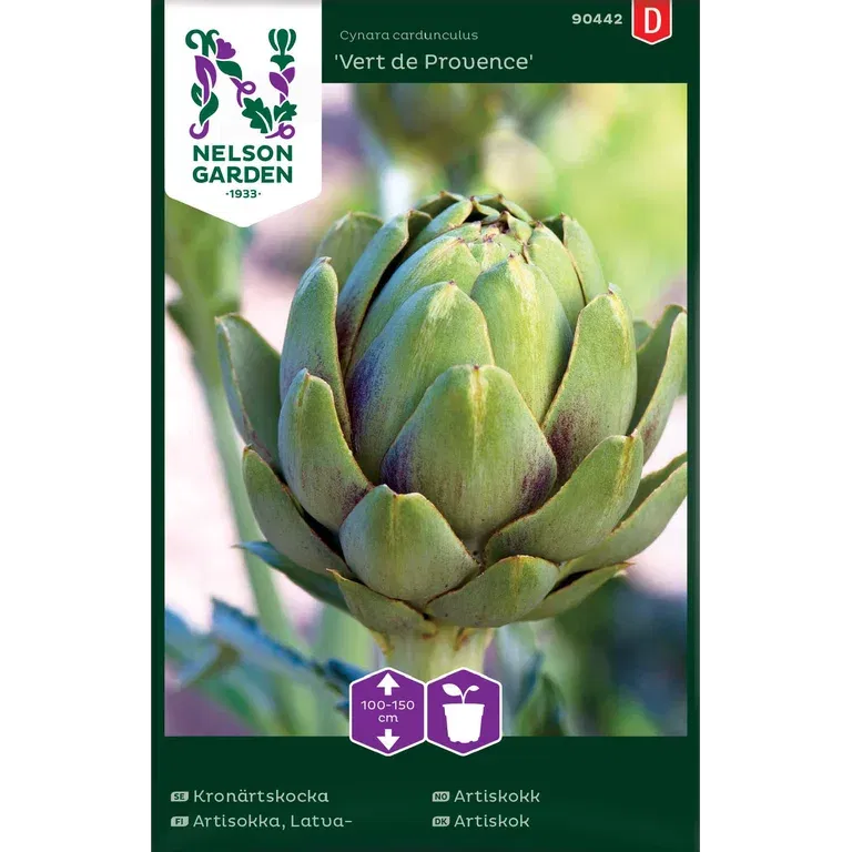 Kronärtskocka 'Vert de Provence'