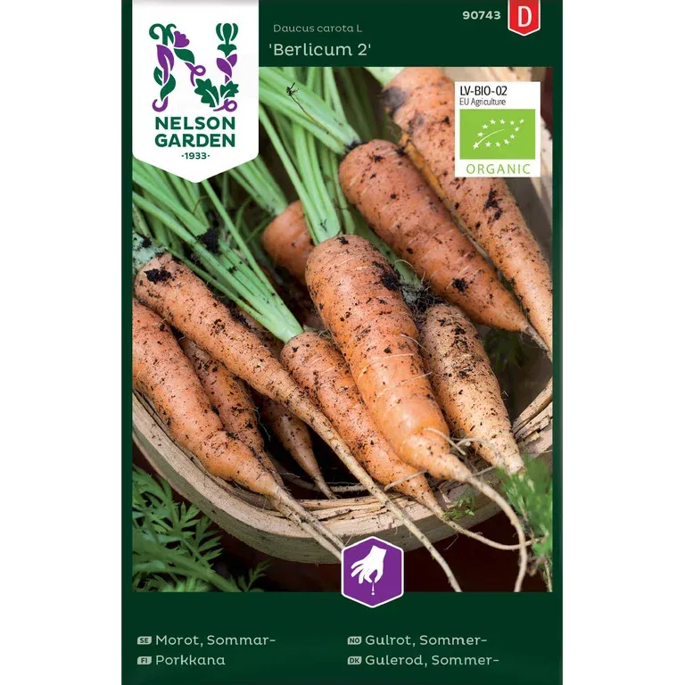 Sommarmorot 'Berlicum 2'