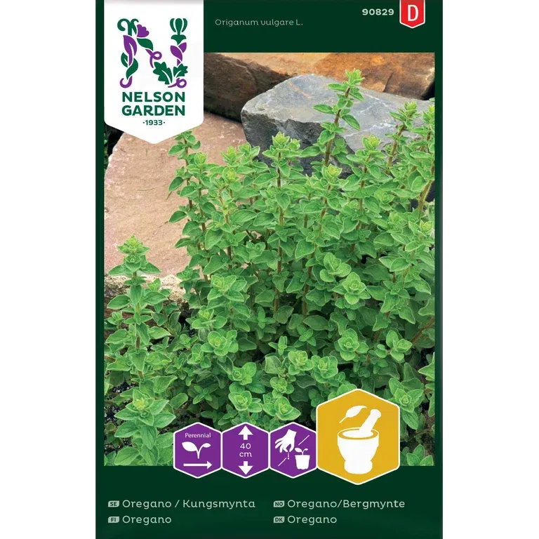 Oregano
