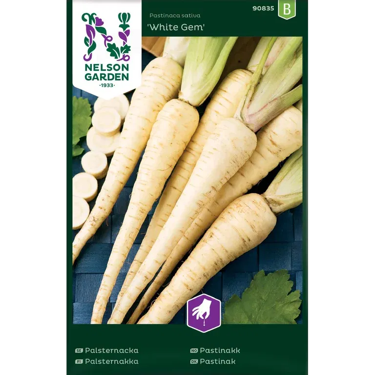 Palsternacka 'White Gem'