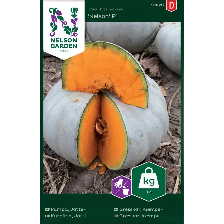 Jättepumpa 'Nelson' F1