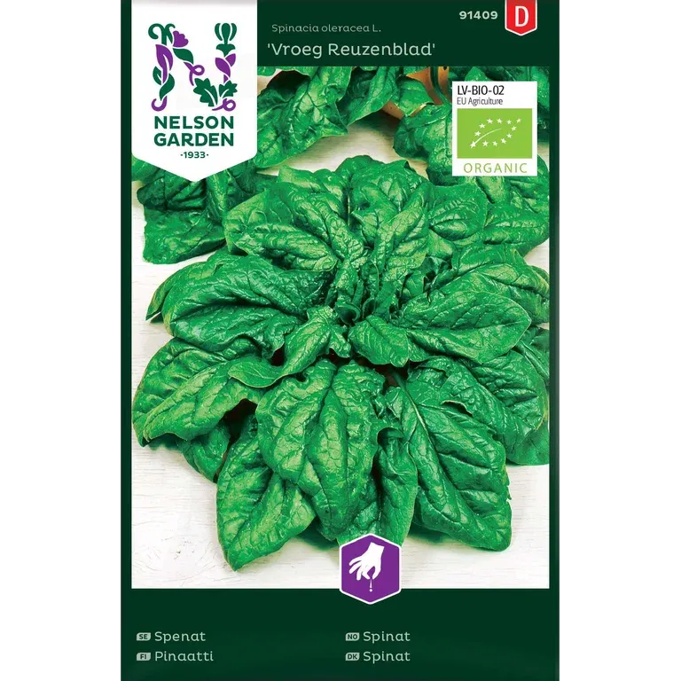 Spenat 'Vroeg Reuzenblad'