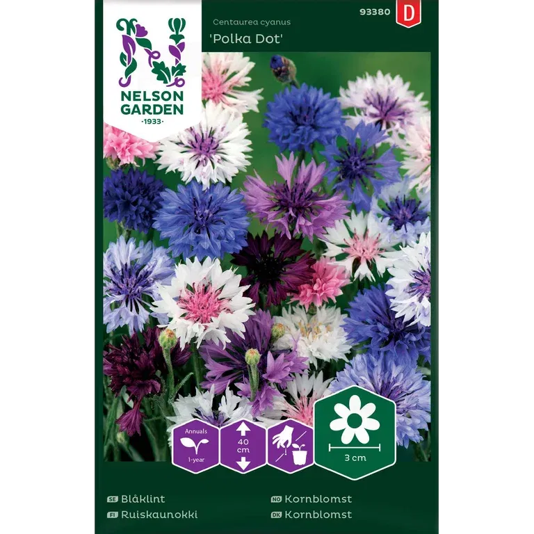 Blåklint 'Polka Dot'