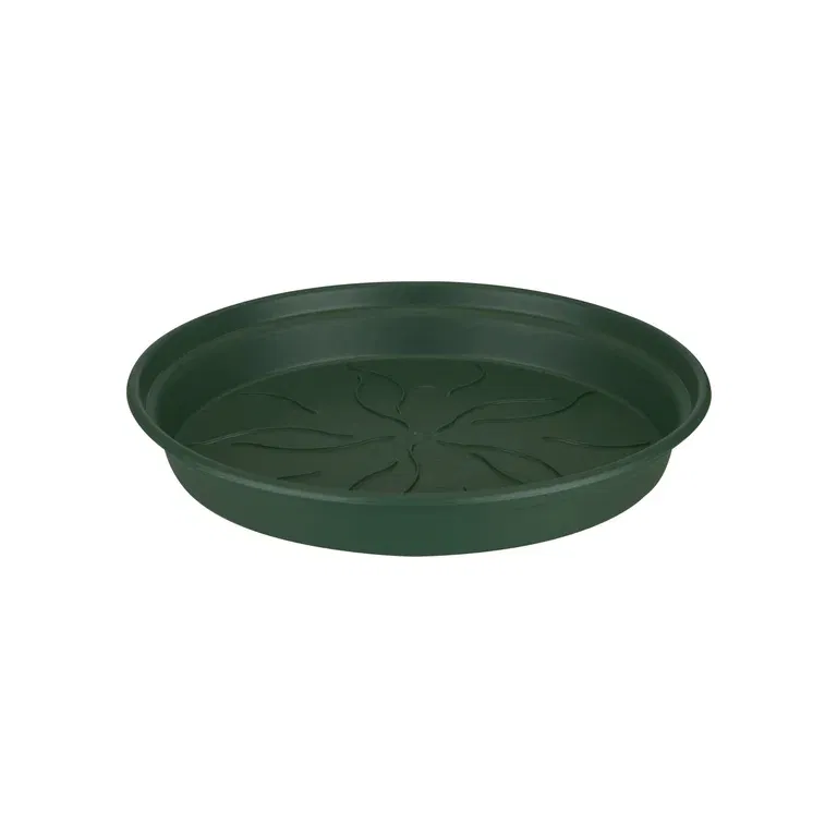 Fat Green basics