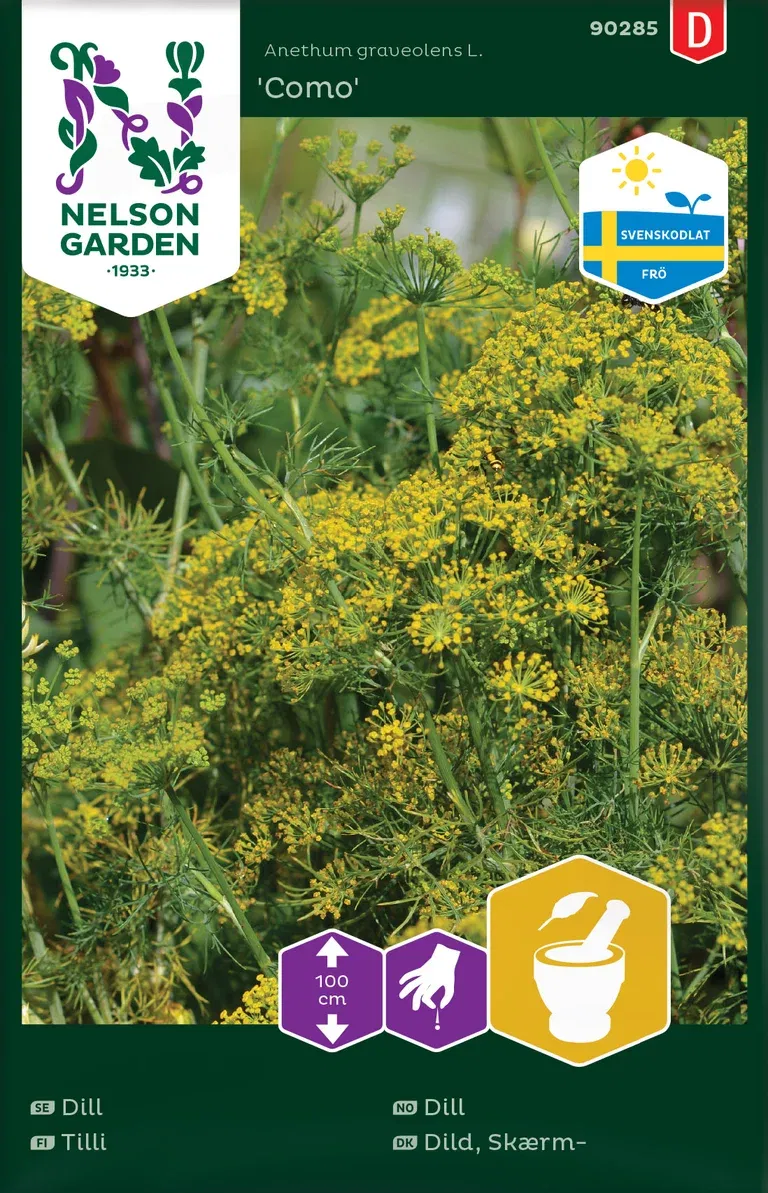 Dill