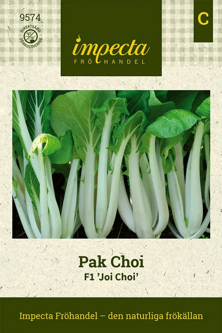 Pak Choi F1 'Joi Choi'