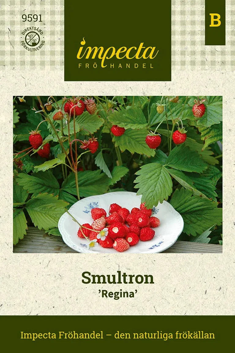 Smultron 'Regina'