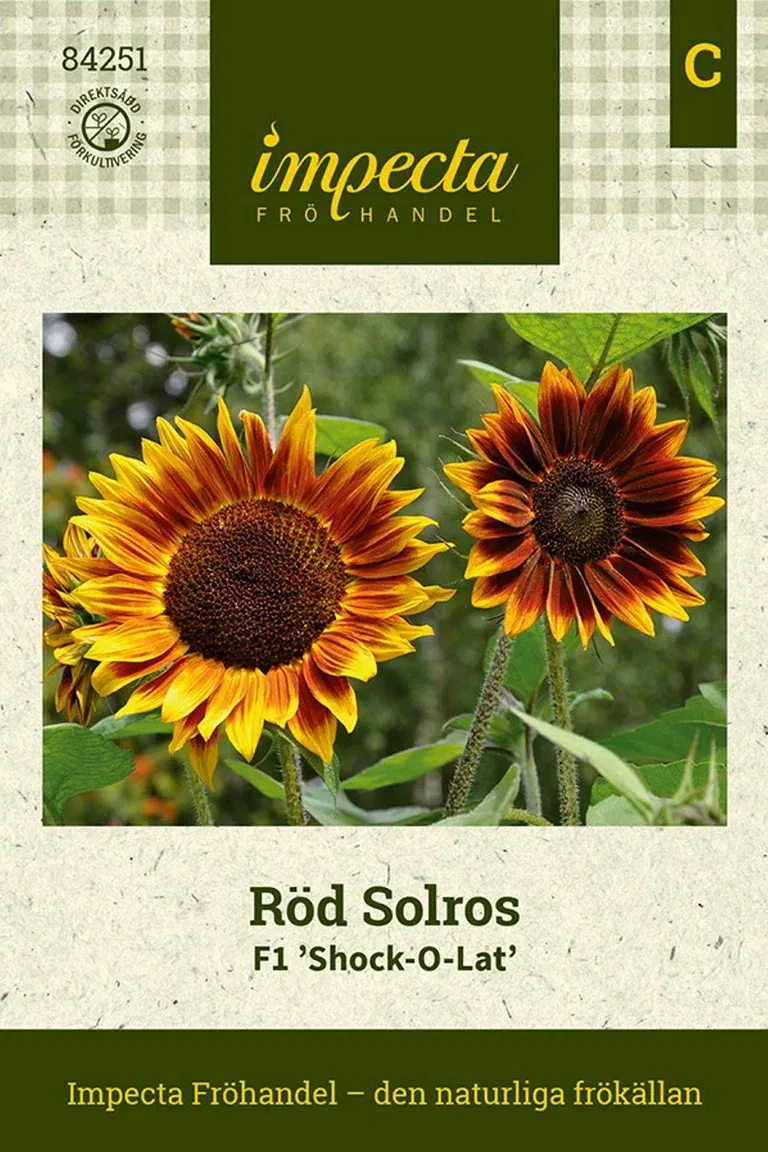 Solros F1 'Shock-O-Lat'