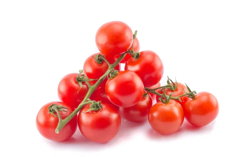Körsbärstomat 'Cerise'