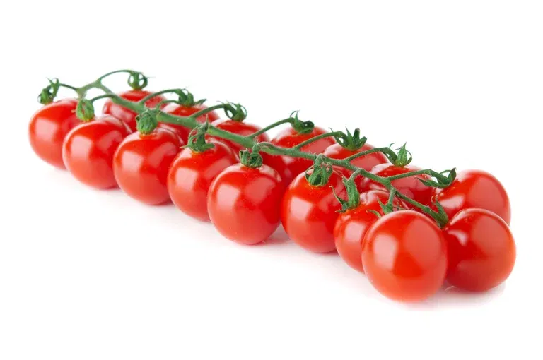 Körsbärstomat ‘Red Cherry’