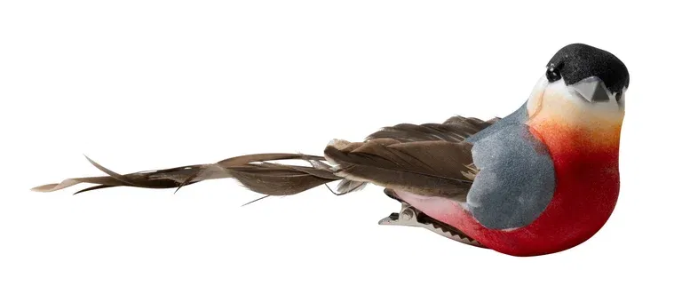 Julgranspynt Domherre