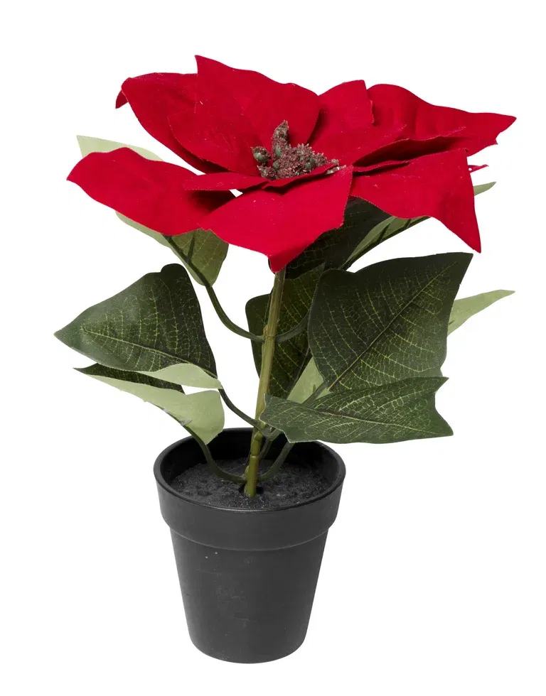 Julstjärna i kruka konstgjord