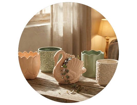 Image of Årets kruktrender