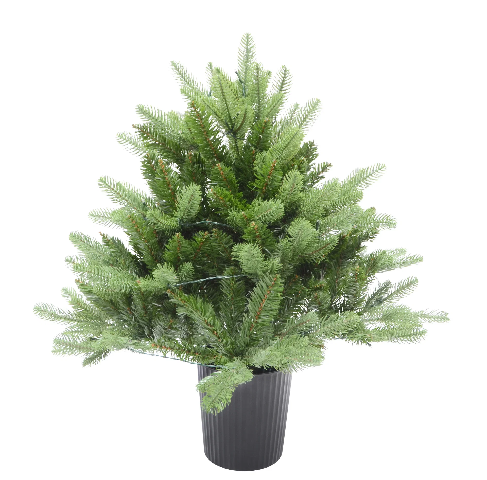 Julgran med Belysning