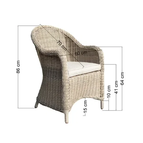 Dining Chair Saltnes