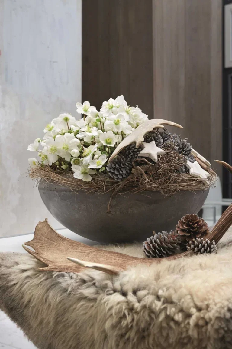 Julros 'Verboom Beauty'