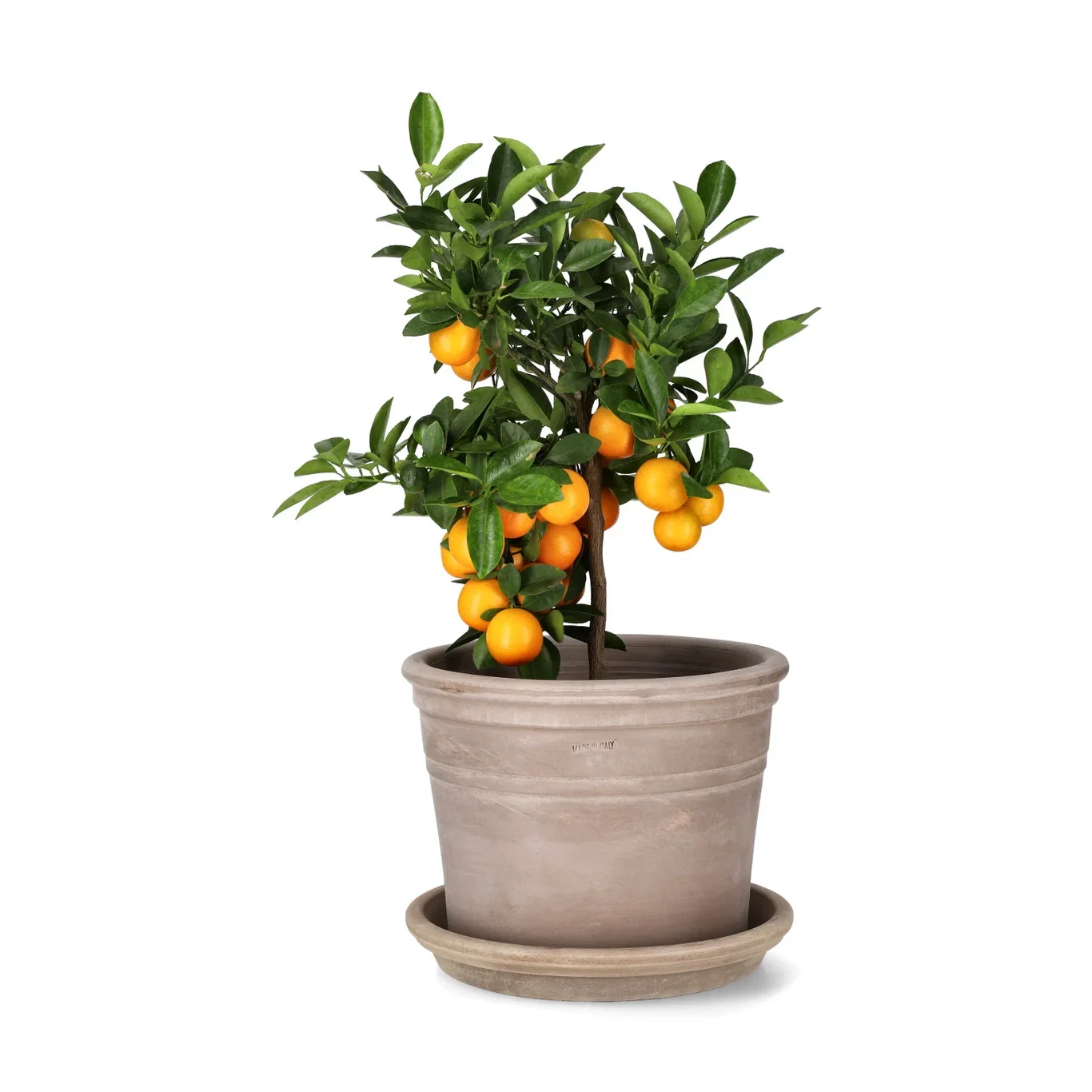 Mastello pot D28 terracotta grey